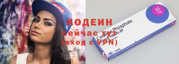 гашик Нягань