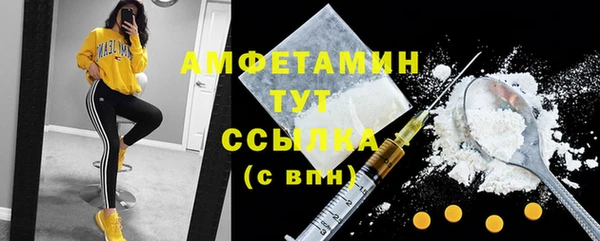 твердый Осинники