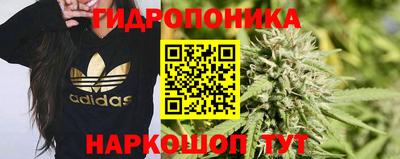 трава Гатчина