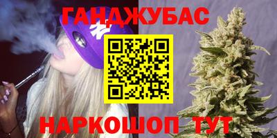 индика Абакан