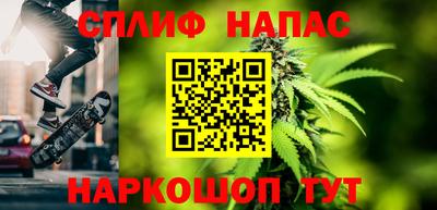 индика Абакан