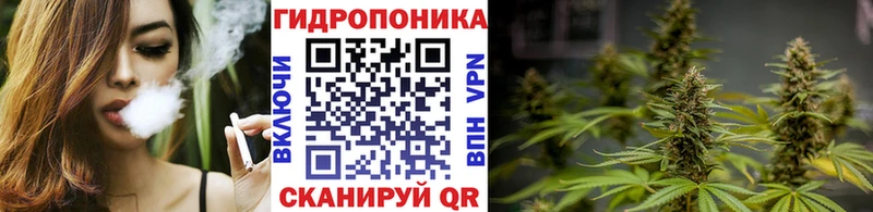 купить закладку  Амурск  MEGA ССЫЛКА  Марихуана конопля 